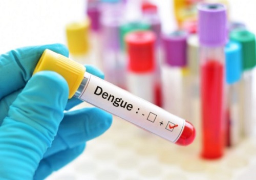 dengue